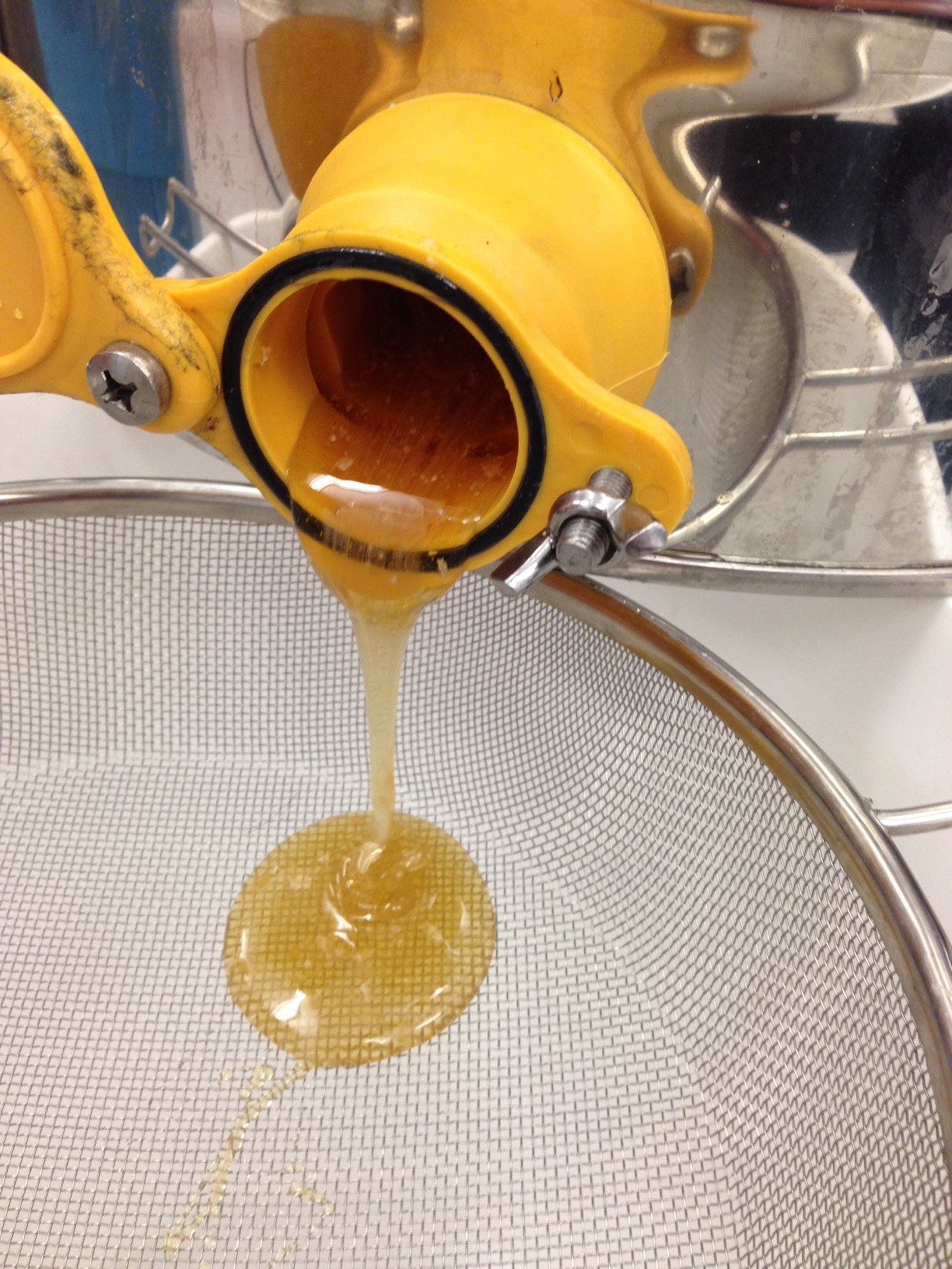 Science World staff will eat all of the honey, thanks to Hives for